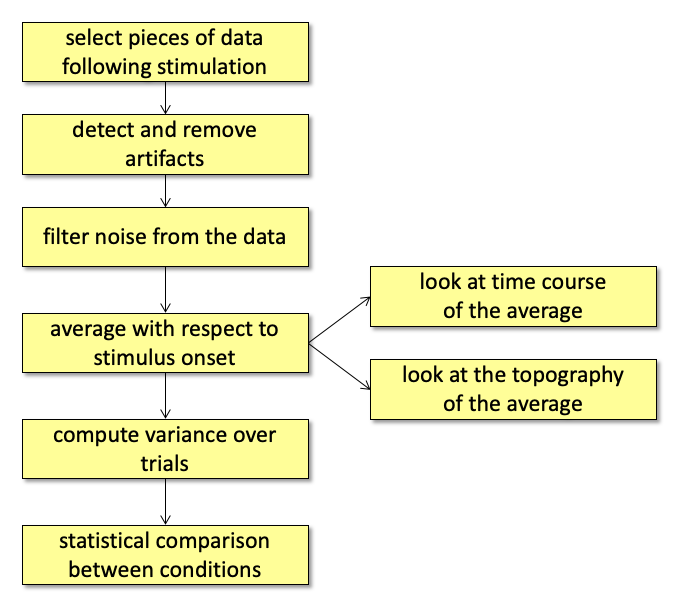 图：事件相关电位（ERP）的分析协议。